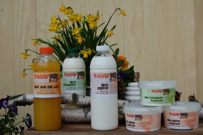 Snel en gemakkelijk kefir kopen